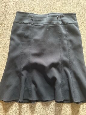 Strom Black Flared Panel Skirt
